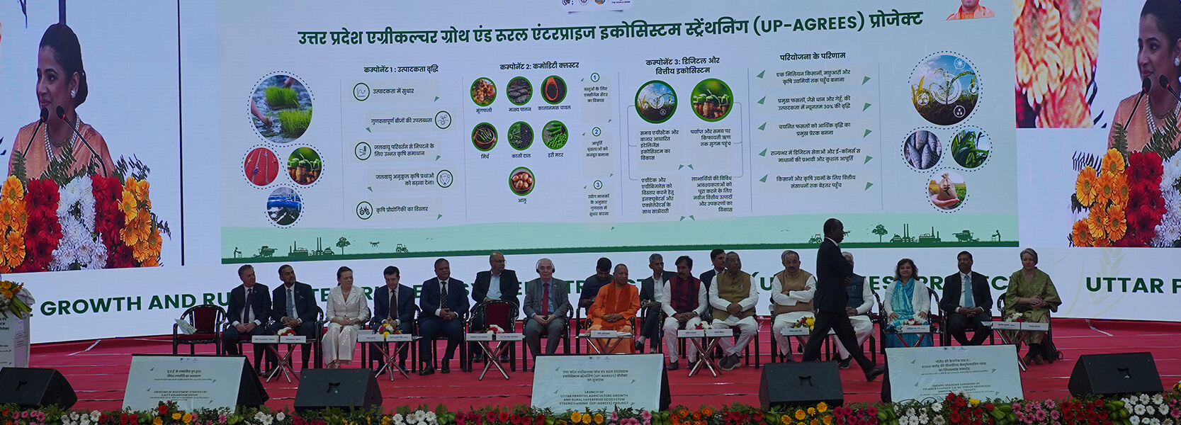 Project Coordination Unit, UPDASP Project Coordination Unit, UPDASP